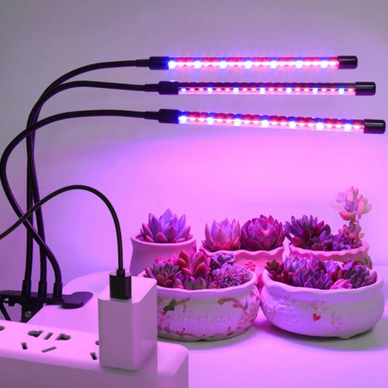 product-554-554 product-554-554